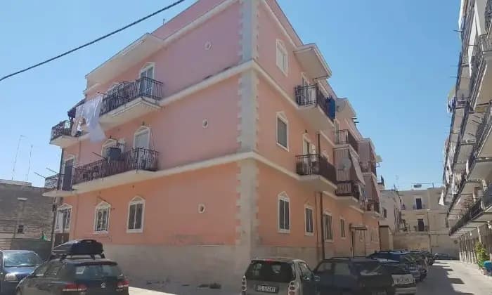 Homepal-Trani-CentralissimaALTRO