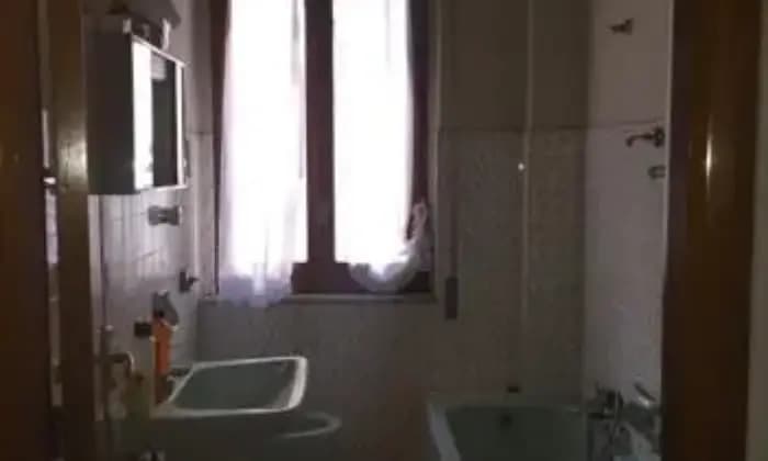 Homepal-Ribera-Vendita-vaniBAGNO