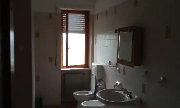 Homepal-Visone-VendoSALONE