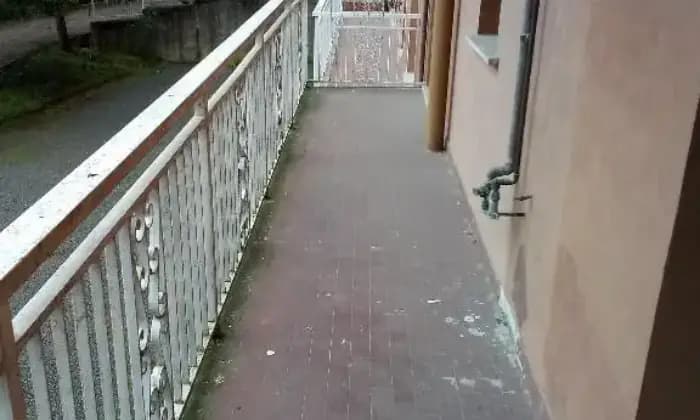 Homepal-Visone-VendoSALONE
