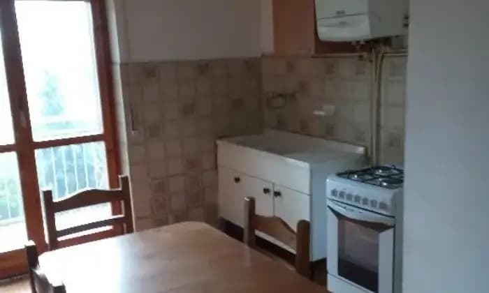 Homepal-Visone-VendoSALONE