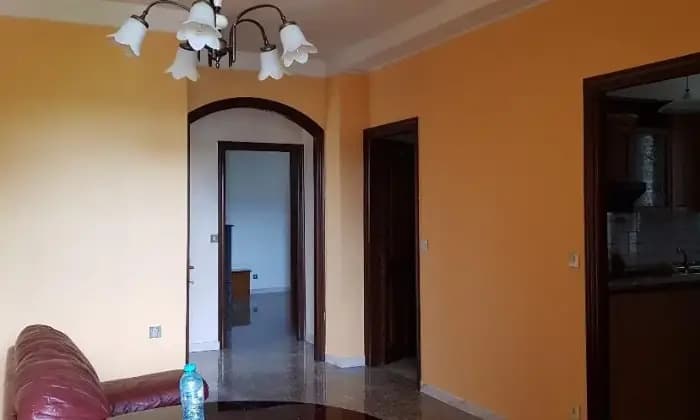 Homepal-Canepina-VendoSALONE