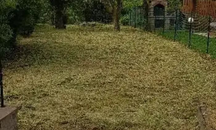 Homepal-Canepina-VendoALTRO