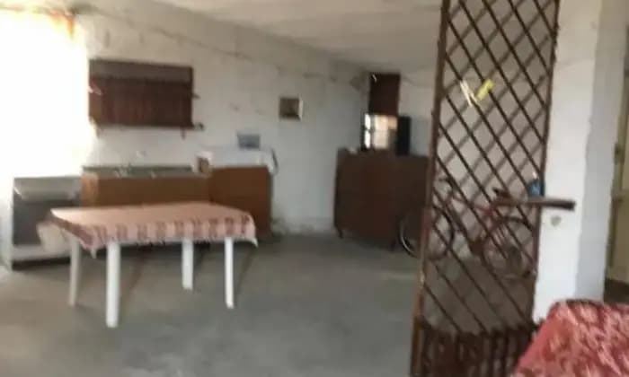 Homepal-Milena-Casa-milenaALTRO