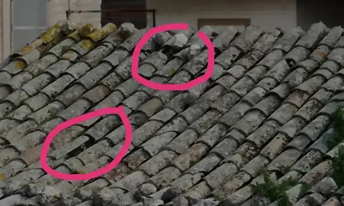 Homepal-Bisacquino-Casa-in-piazza