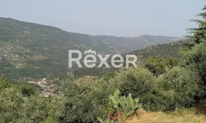 Rexer-Sinagra-Immobile-Sinagra-ALTRO