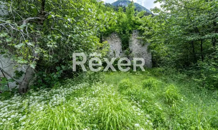 Rexer-Grigno-Villetta-e-rudere-da-ristrutturare-immersi-nel-verde-RUSTICO
