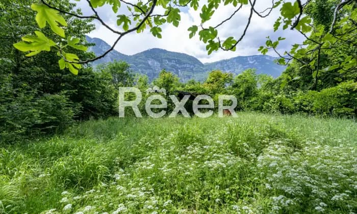 Rexer-Grigno-Villetta-e-rudere-da-ristrutturare-immersi-nel-verde-GIARDINO