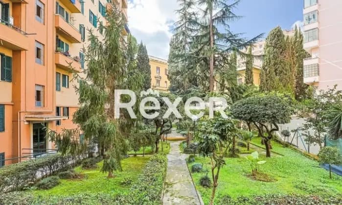 Rexer-Roma-NUDA-PROPRIETA-Et-usufruttuari-anni-Monolocale-da-ristrutturare-Giardino