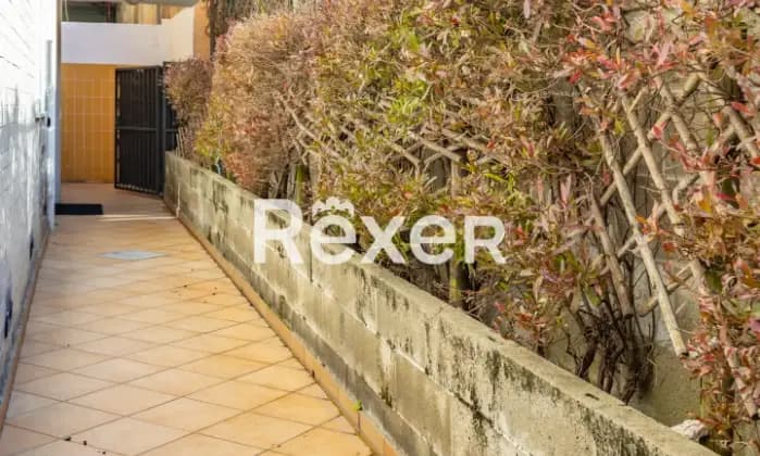 Rexer-Lavagna-Appartamento-completamente-ristrutturato-in-centro-a-Lavagna-con-due-balconi-posto-auto-e-cantine-Terrazzo