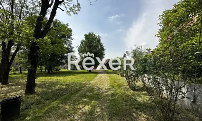 Rexer-Predosa-Villa-singola-disposta-su-unico-livello-con-ampio-giardino-Terrazzo