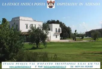 Homepal-Trinitapoli-Villa-La-Fenice-antica-masseria-ristrutturata-con-piscina-e-parcoALTRO