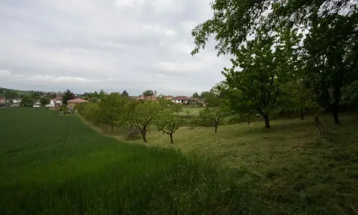 Homepal-Villaromagnano-Casa-indipendente-con-terrazzo-giardino-e-ampio-Box-Colline-tortonesiGIARDINO