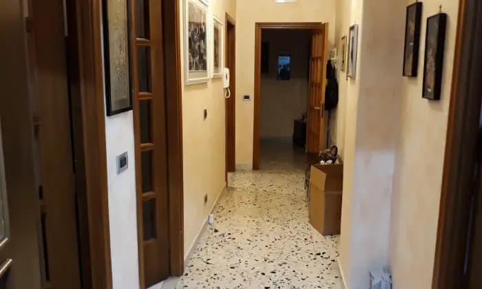 Homepal-Catania-Appartamento-vani-e-mezzo-luminosoALTRO