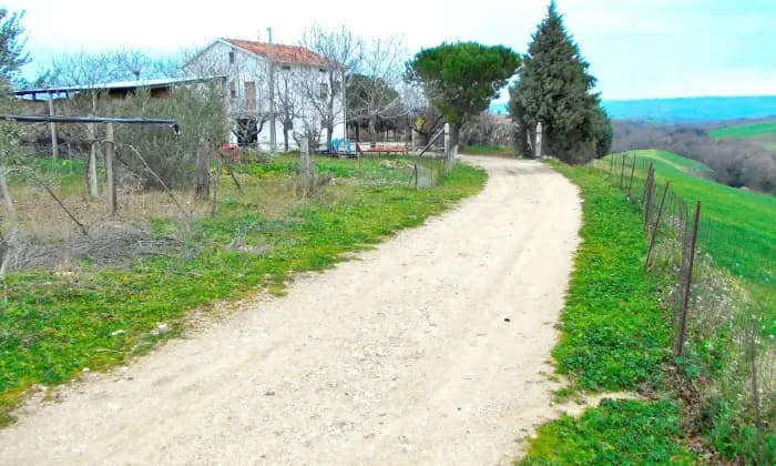 Homepal-San-Martino-In-Pensilis-Casa-Rurale-con-terreno-e-fabbricatiALTRO