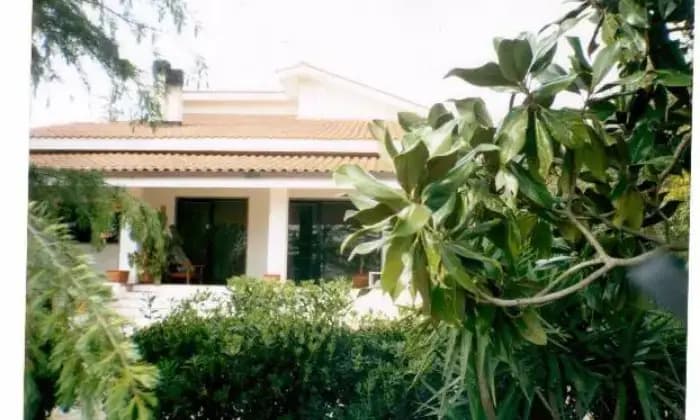 Homepal-Capaccio-Villa-prestigiosa-in-venditaALTRO