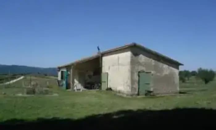 Homepal-Ischia-di-Castro-Casa-colonica-Localit-Tagliata-Pian-di-Morrano-Ischia-di-CastroALTRO