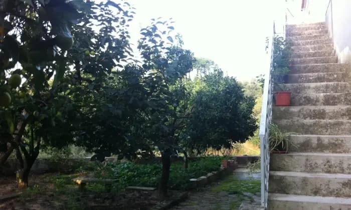 Homepal-Das-Casa-indipendente-con-giardino-e-posti-auto-e-cantineALTRO