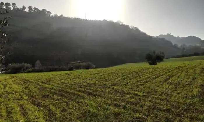 Homepal-Massignano-Casa-colonica-e-terreno-in-vendita-in-contrada-mareziALTRO