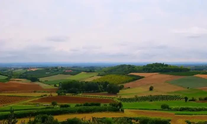 Homepal-Cuccaro-Monferrato-Intero-stabile-sulle-colline-del-MonferratoALTRO