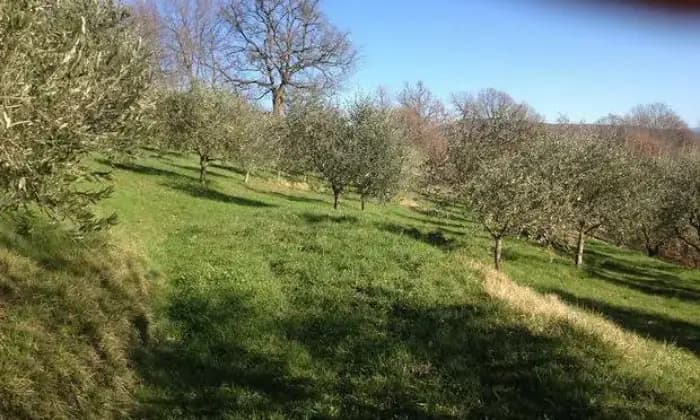Homepal-Pratovecchio-Stia-Villa-o-Agriturismo-in-ToscanaALTRO