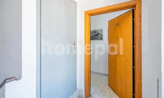 Homepal-Tolfa-Appartamento-spazioso-e-luminoso-in-centroALTRO