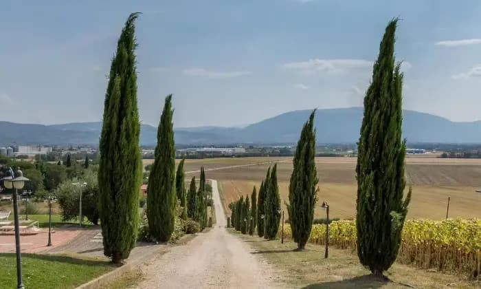 Homepal-Perugia-Country-Resort-Agriturismo-in-VENDITAGIARDINO