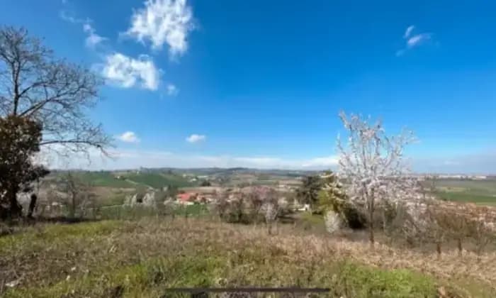 Homepal-Casale-Monferrato-Villa-da-ristrutturare-in-collina-di-proprietTerrazzo