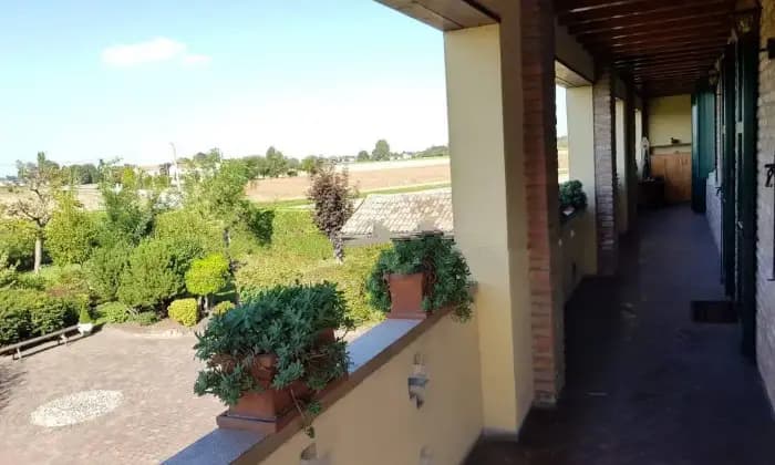 Homepal-Bondeno-Villa-unifamiliare-in-vendita-in-via-Provinciale-BondenoTerrazzo