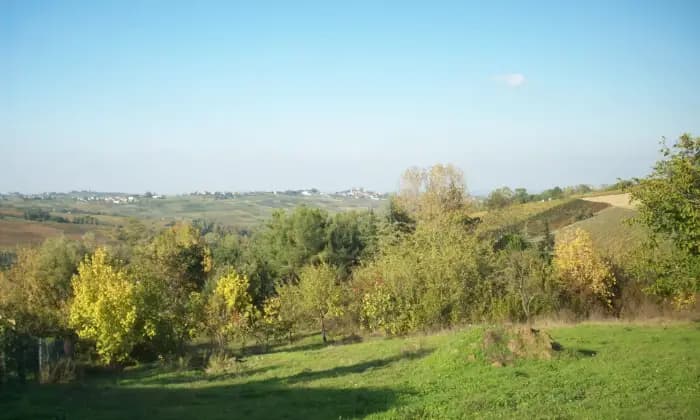 Homepal-Ziano-Piacentino-Terreno-edificabile-a-CASA-MASCANDOLA-fraz-di-Ziano-Piacentino-colline-Val-TidoneAltro