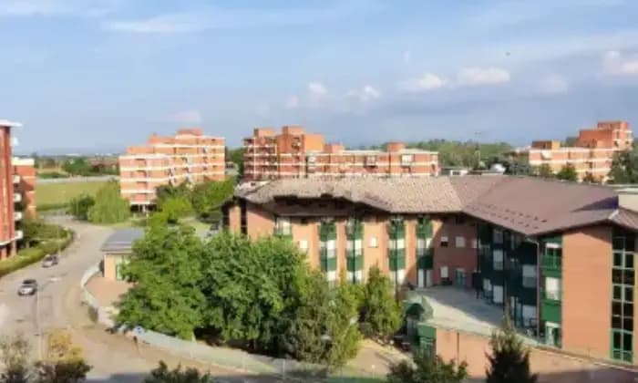 Homepal-Alessandria-Appartamento-ristrutturato-con-cantina-e-garageGiardino
