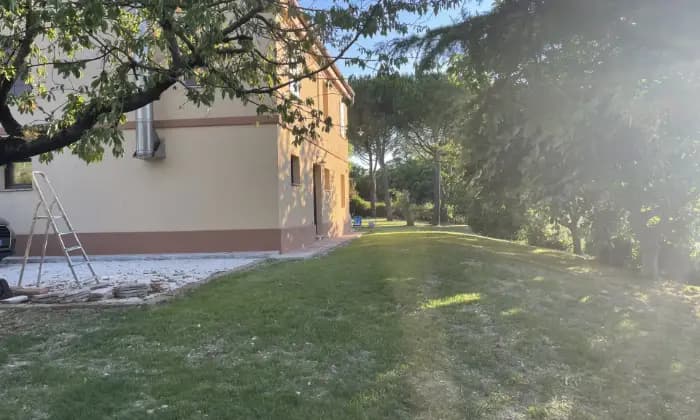 Homepal-Senigallia-Casa-indipendente-con-ampia-corteIndependent-house-with-large-gardenGiardino