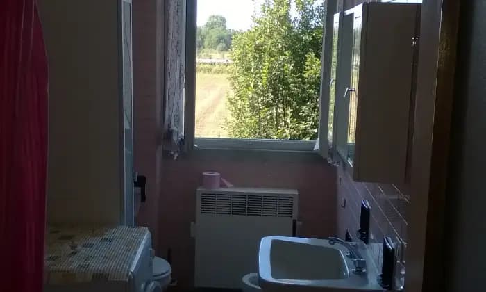 Rexer-Pavia-Arredato-per-tre-studenti-BAGNO