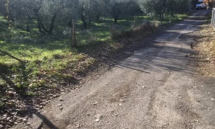 Rexer-Roma-Lotti-minimi-terreno-agricoloresidenziale-ALTRO