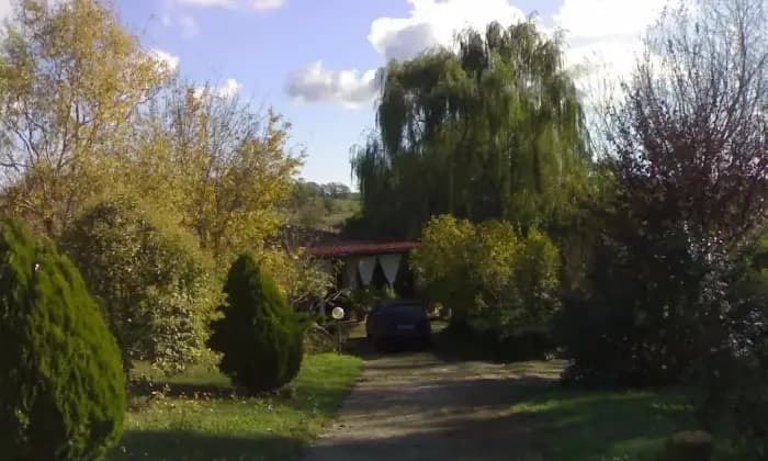 Rexer-Manziana-Elegante-villa-nel-verde-GIARDINO