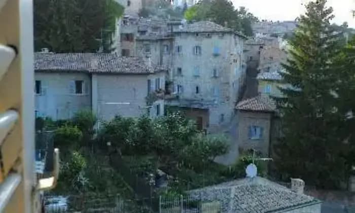 Rexer-Urbino-Posto-letto-a-studentessa-centro-storico-ALTRO