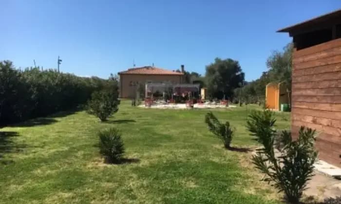 Rexer-Olbia-Villa-della-tranquillit-in-affitto-GIARDINO