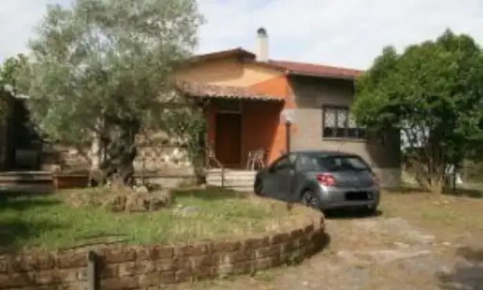 Rexer-Roma-Affitto-stanza-in-villa-zona-laurentina-montemigliore-ALTRO