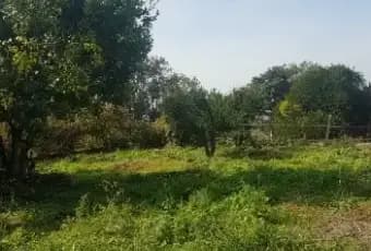 Rexer-Pozzuoli-Rustico-con-giardino-Panoramico-ALTRO