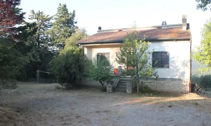 Rexer-Monte-San-Savino-Complesso-immobiliare-di-unit-vicino-Gargonza-ALTRO