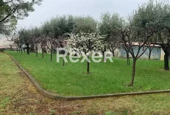 Rexer-Coriano-Rustico-panoramico-con-terreno-in-vendita-a-Coriano-GIARDINO