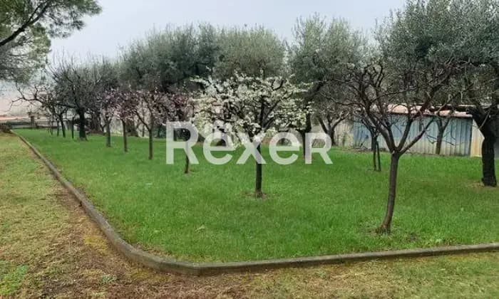 Rexer-Coriano-Rustico-panoramico-con-terreno-in-vendita-a-CorianoGIARDINO