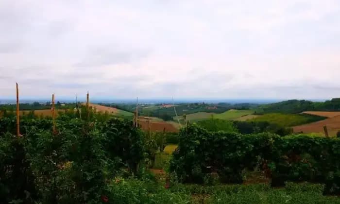 Rexer-Cuccaro-Monferrato-Intero-stabile-sulle-colline-del-Monferrato-ALTRO