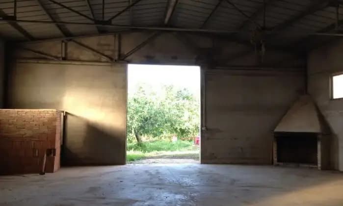 Rexer-San-Martino-in-Pensilis-Azienda-Agricola-in-Molise-GARAGE