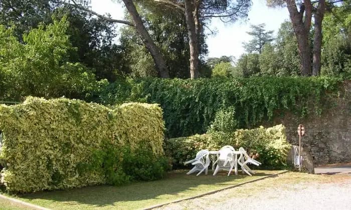 Rexer-Pescia-Casale-via-dei-Cardellini-Centro-Pescia-GIARDINO