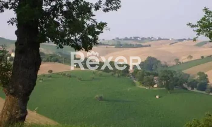Rexer-Castelleone-di-Suasa-Vendesi-casale-nelle-Marche-ALTRO