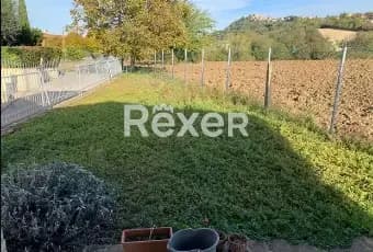 Rexer-Pesaro-Vendesi-casa-in-campagna-GIARDINO