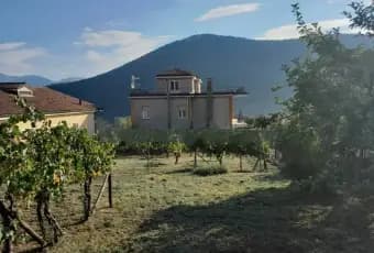 Rexer-Tramutola-Vendesi-Villa-unifamiliare-viale-Principe-Umberto-Tramutola-Terreno
