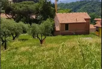 Rexer-Sarzana-Villa-bifamiliare-in-vendita-in-via-Terma-a-Falcinello-Sarzana-Terrazzo