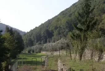 Rexer-Finale-Ligure-Rustico-Casale-Antica-via-Julia-Augusta-Finale-Ligure-TERRENO